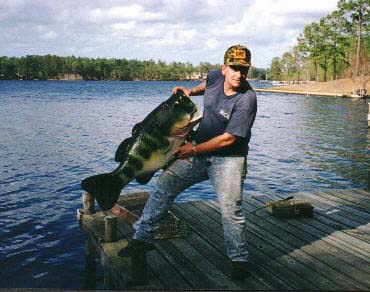Large Mouth Bass